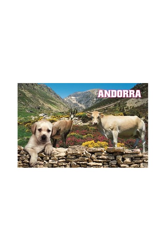 POSTALS 3D VALL D'INCLES